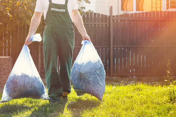 Best Shed Removal  in Remerton, GA