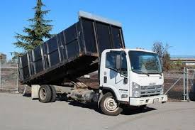 Best Hoarding Cleanup  in Remerton, GA